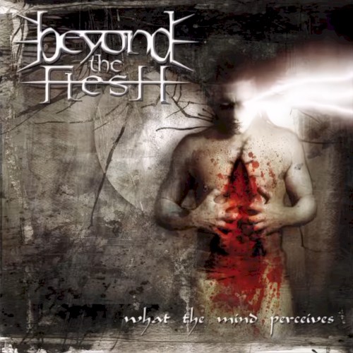 Beyond the Flesh - What the Mind Perceives